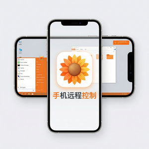 品牌 - 向日葵远程控制软件灾难恢复计划DRP介绍